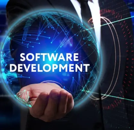 software development